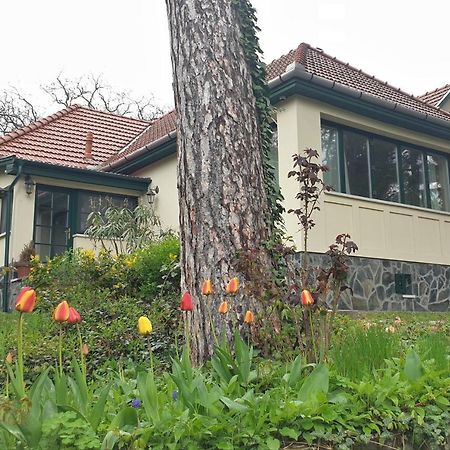 Edit Villa Matrafured Bagian luar foto