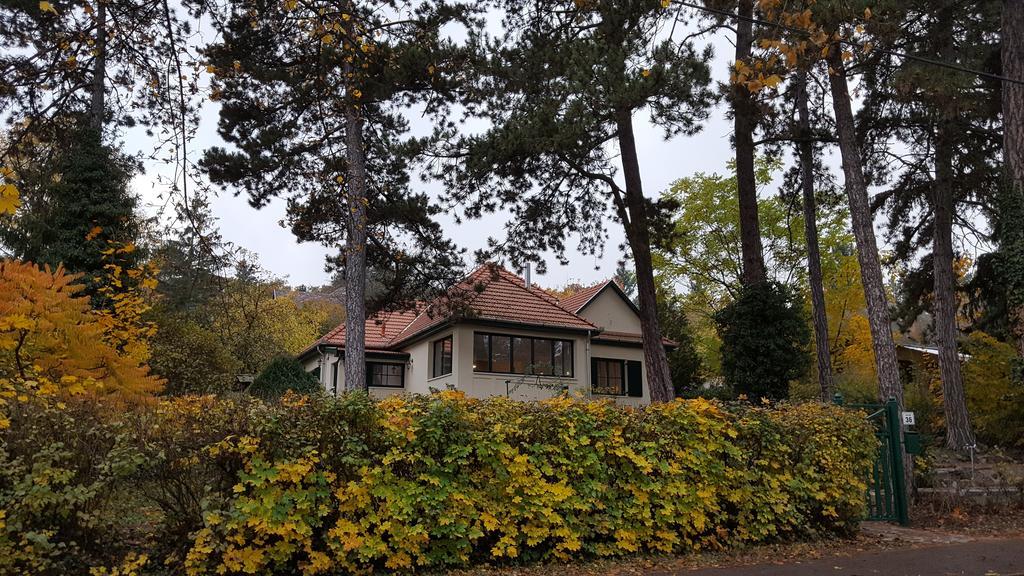 Edit Villa Matrafured Bagian luar foto